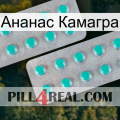 Ананас Камагра 29